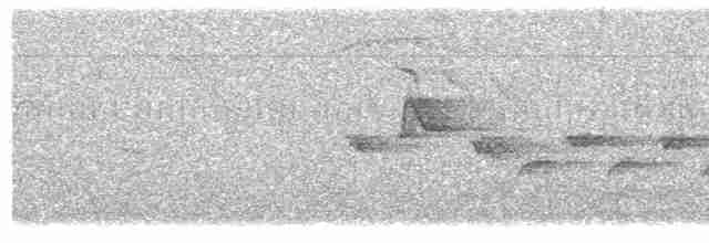 lejsek černohlavý - ML619494403