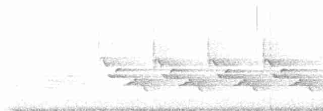 Поплітник каролінський - ML619494718