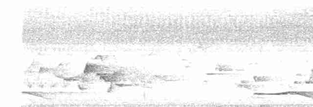 Дзьобак чорногузий - ML619494831