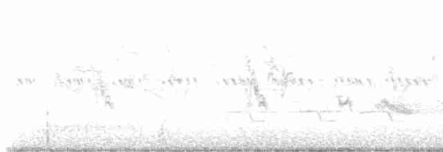 Чернокрылая пиранга - ML619494891