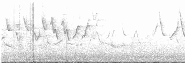 Kızılağaç Sinekkapanı - ML619495206