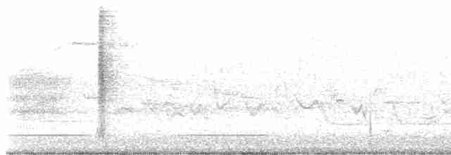 střízlík bažinný - ML619495222