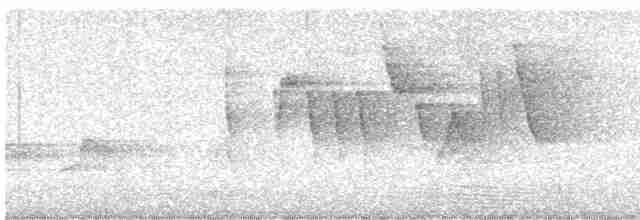 Болотянка строкатовола - ML619495301