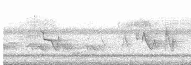 Очковая хвойница - ML619495317