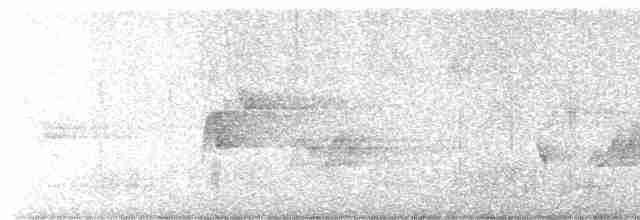 Acadian Flycatcher - ML619495376
