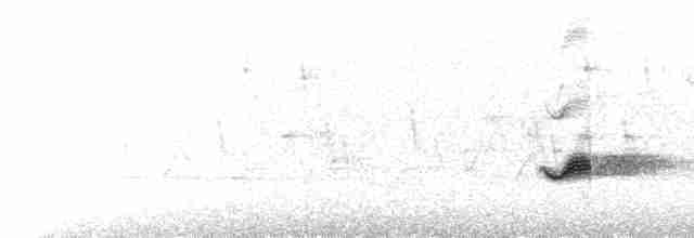 Чернокрылая пиранга - ML619495550