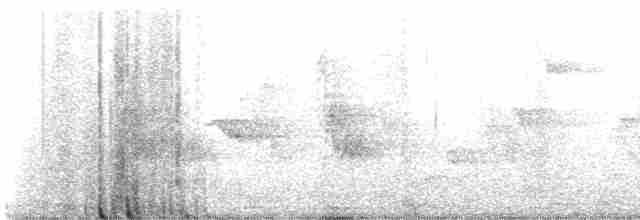 エントツアマツバメ - ML619495599
