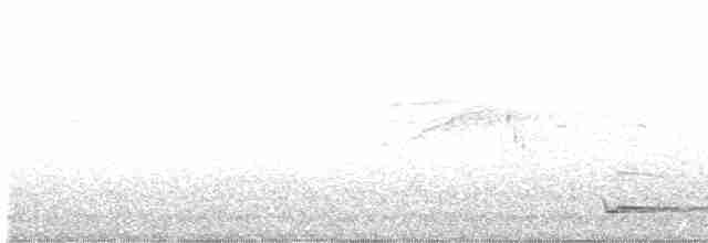 Сплюшка євразійська - ML619496151