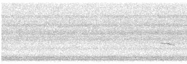 Дрізд-короткодзьоб плямистоволий - ML619496472