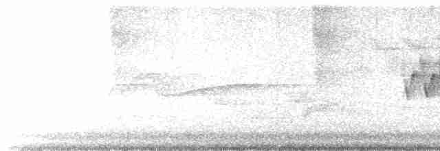 Cerulean Warbler - ML619496963