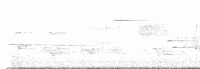 Canada Warbler - ML619497121