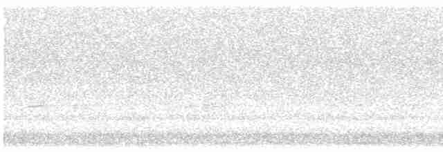 Короткоклювый бекасовидный веретенник - ML619497164