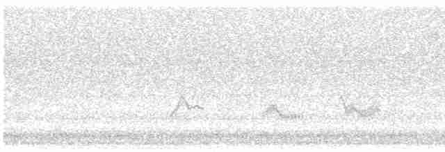 Чернокрылая пиранга - ML619497165