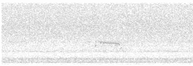 Kara Karınlı Kumkuşu - ML619497191