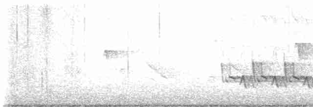 Karolina Çıtkuşu - ML619497341
