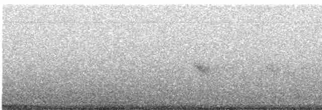 Evening Grosbeak (type 1) - ML619497648