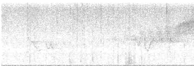 Cerulean Warbler - ML619497780