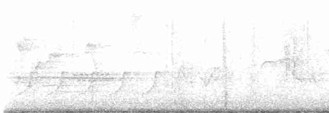 svartbrystparula - ML619498317