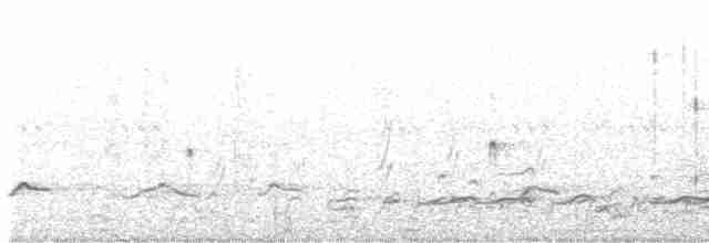 ハジロオオシギ（inornata） - ML619499360