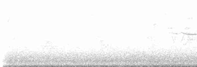 Paruline à gorge noire - ML619499411