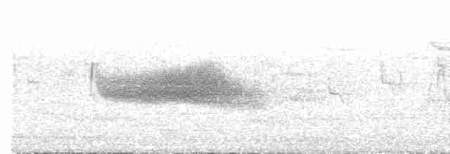 European Greenfinch - ML619499594