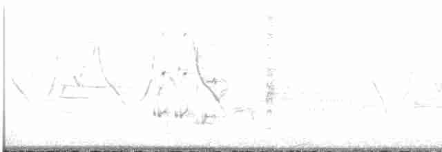 Bataklık Çıtkuşu - ML619499690