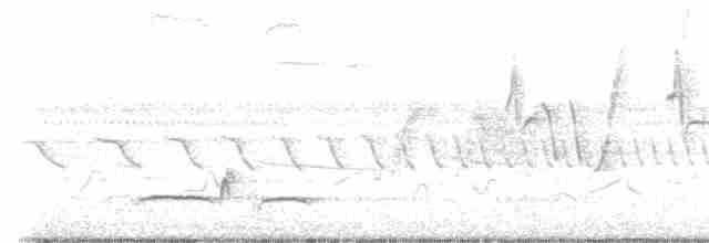 Тремблер прямодзьобий - ML619499854