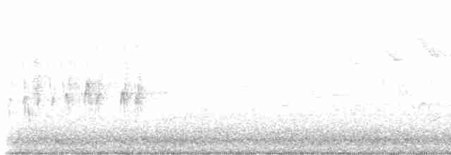 vlhovec červenokřídlý - ML619499965