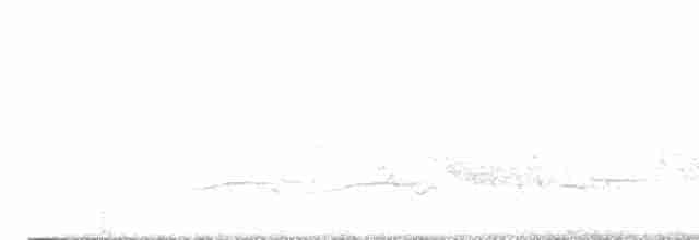 Черногорлая хвойница - ML619500042