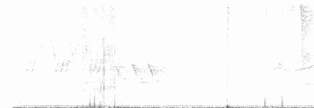 Черногорлая хвойница - ML619500043