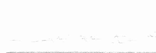 Черногорлая хвойница - ML619500044