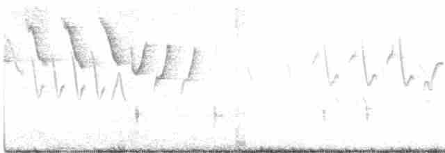 tyranovec vrbový - ML619500621