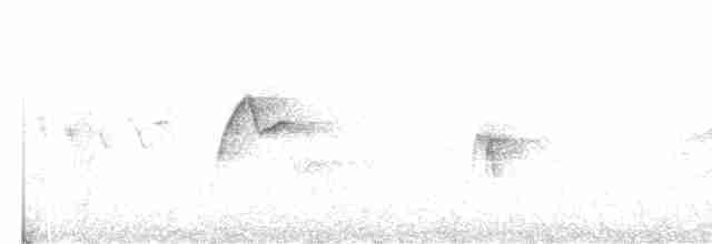 Batı Amerika Sinekkapanı (occidentalis/hellmayri) - ML619500797