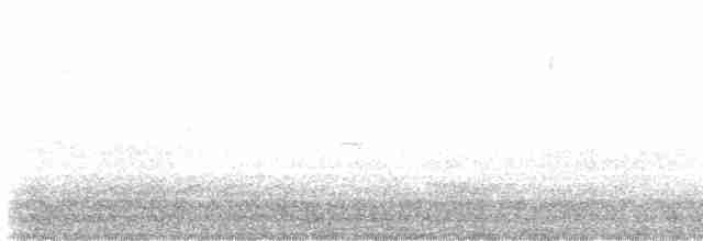 Weißbrustkleiber (carolinensis) - ML619501219
