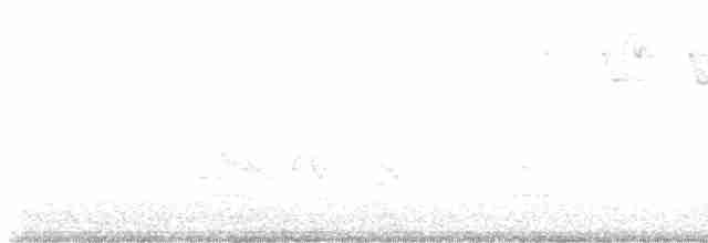 Дроздовый певун - ML619501355