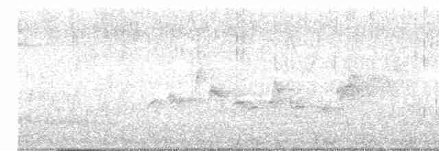 Віреон світлобровий (підвид gilvus) - ML619501390