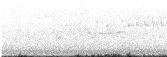 Troglodyte des forêts - ML619501565