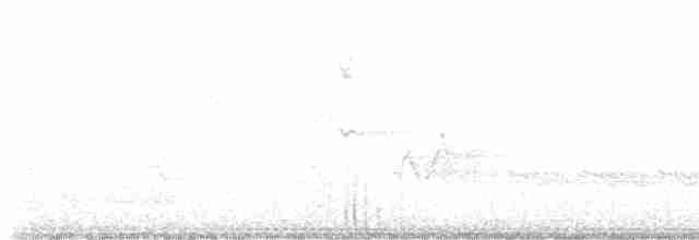 Гаїчка каролінська - ML619502409