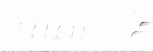 Batı Amerika Sinekkapanı (occidentalis/hellmayri) - ML619502416