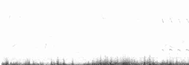 Средний кроншнеп - ML619502431