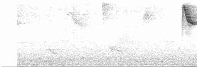 White-browed Warbler - ML619502506
