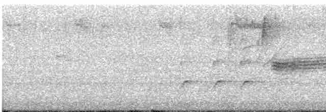 גיבתונית רוננת - ML619502571