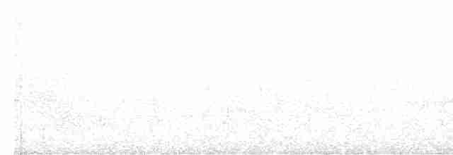 svartbrystparula - ML619502681