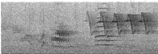 Дрізд-короткодзьоб Cвенсона - ML619502996