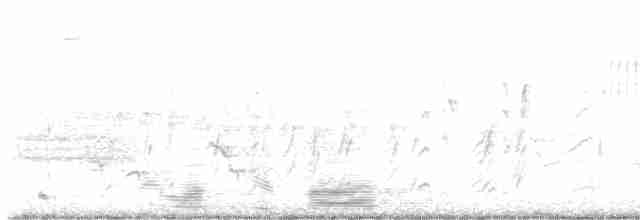 סנונית רפתות - ML619503014