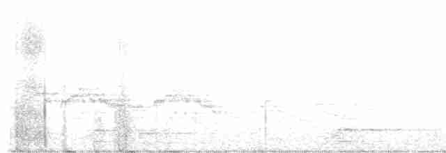 Бурый соловьиный дрозд - ML619503233