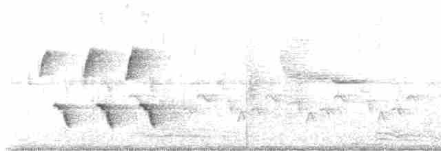 Каролинский крапивник - ML619503559