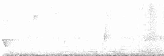 Каролинский крапивник - ML619503576