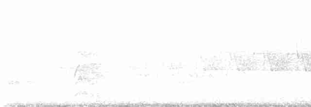 Желтобрюхий дятел-сокоед - ML619503710