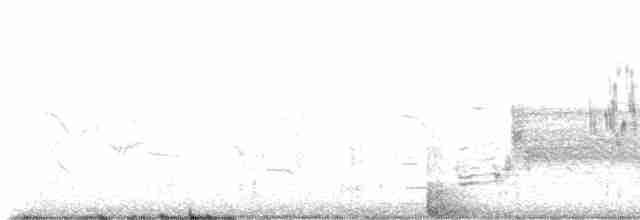 Hirondelle bicolore - ML619503754